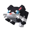 Котик